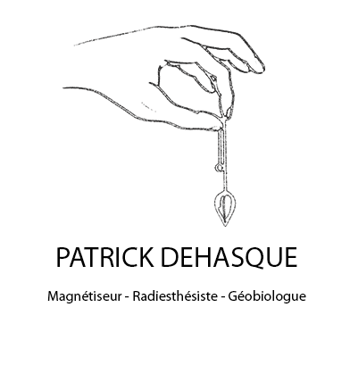 LOGO PATRICK DEHASQUE